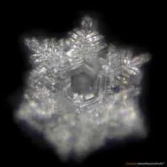 Hochenergie-TERRA-Platte  by DieStoffwechselProfis® mit 90.10.® Quanten-Technologie