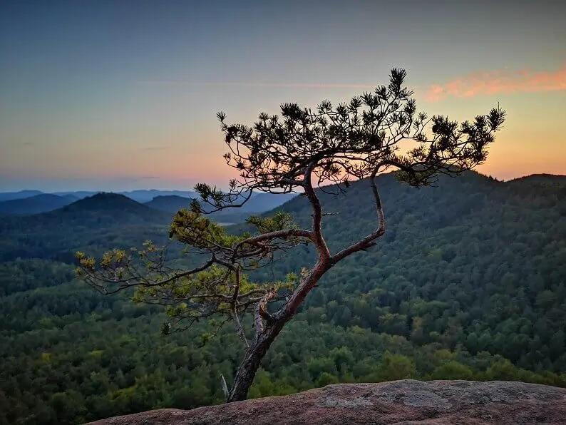 Griffonia 5-HTP (4-Monatsvorrat) Kapseln 