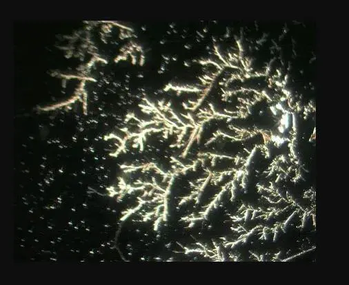 OrthoCell balance OH- Lösung & balance H+ Lösung 1l im SET