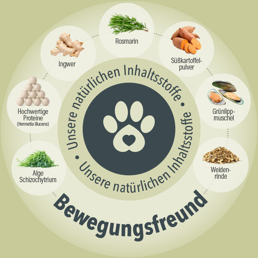Bewegungsfreund