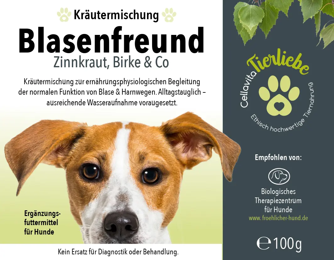 Blasenfreund Zinnkraut, Birkenblätter & Co