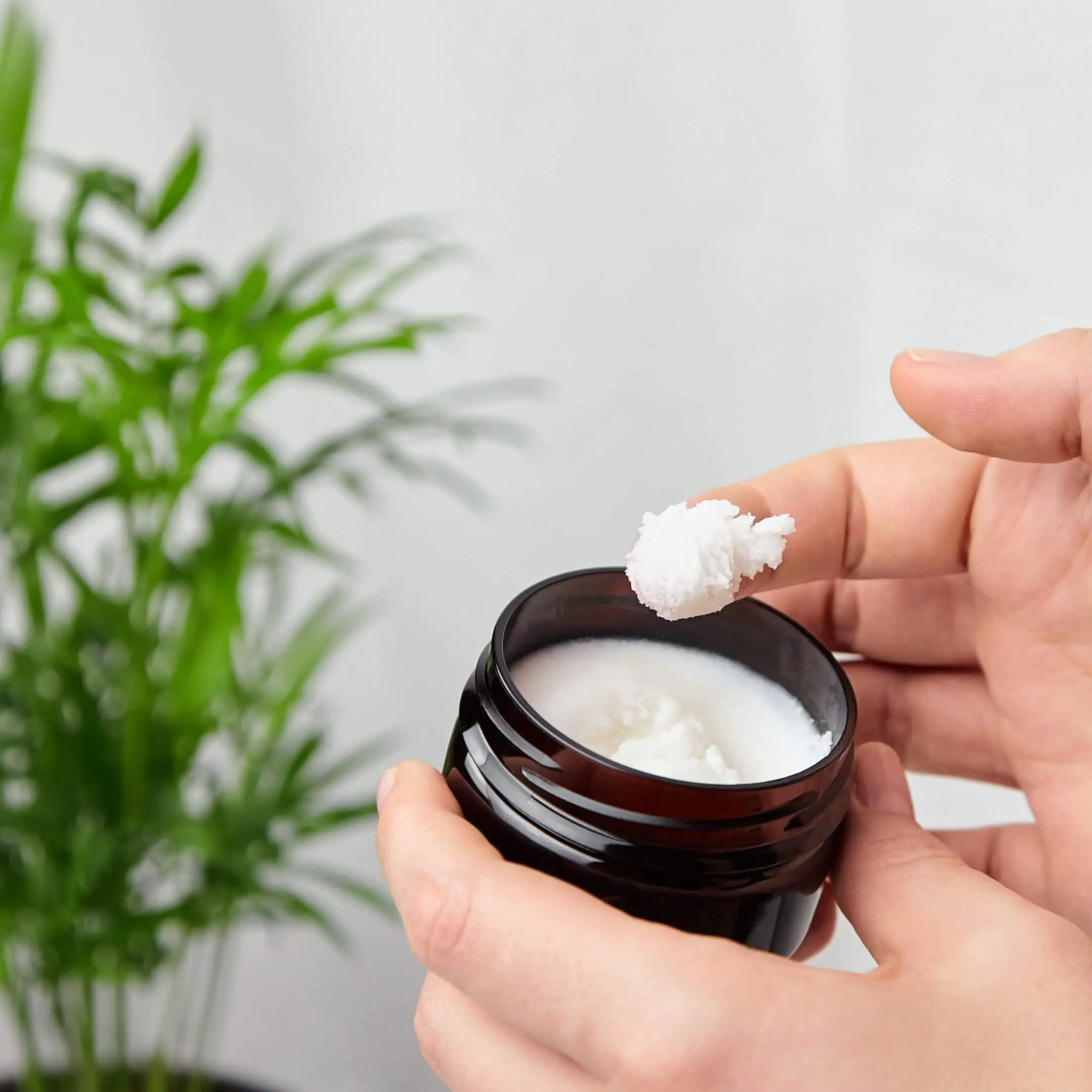 Körperlotion / Bodylotion mit Gelée Royale, Propolis, Sheabutter & Akazienhonig  - 100g