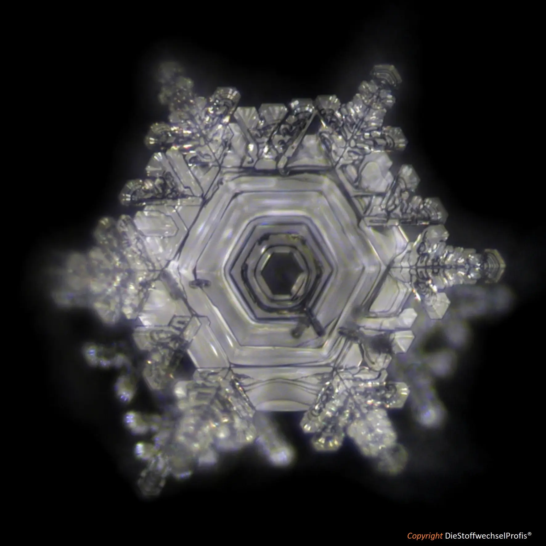 Hochenergie-TERRA-Set by DieStoffwechselProfis® mit 90.10.® Quanten-Technologie