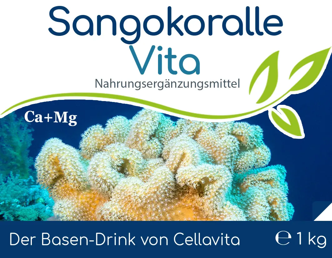 Sangokoralle Vita - Calcium (SANGO) Pulver