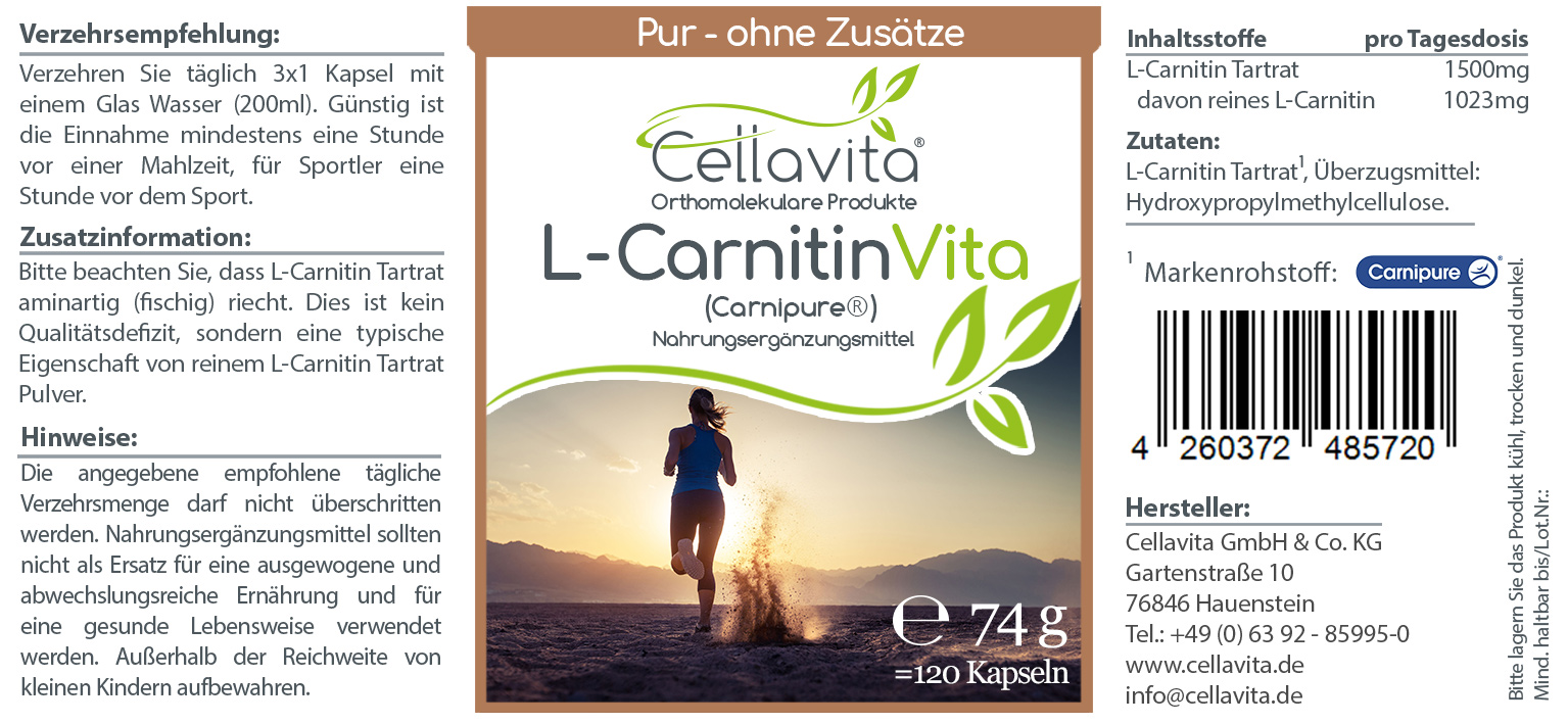 L-Carnitin Vita Kapseln 