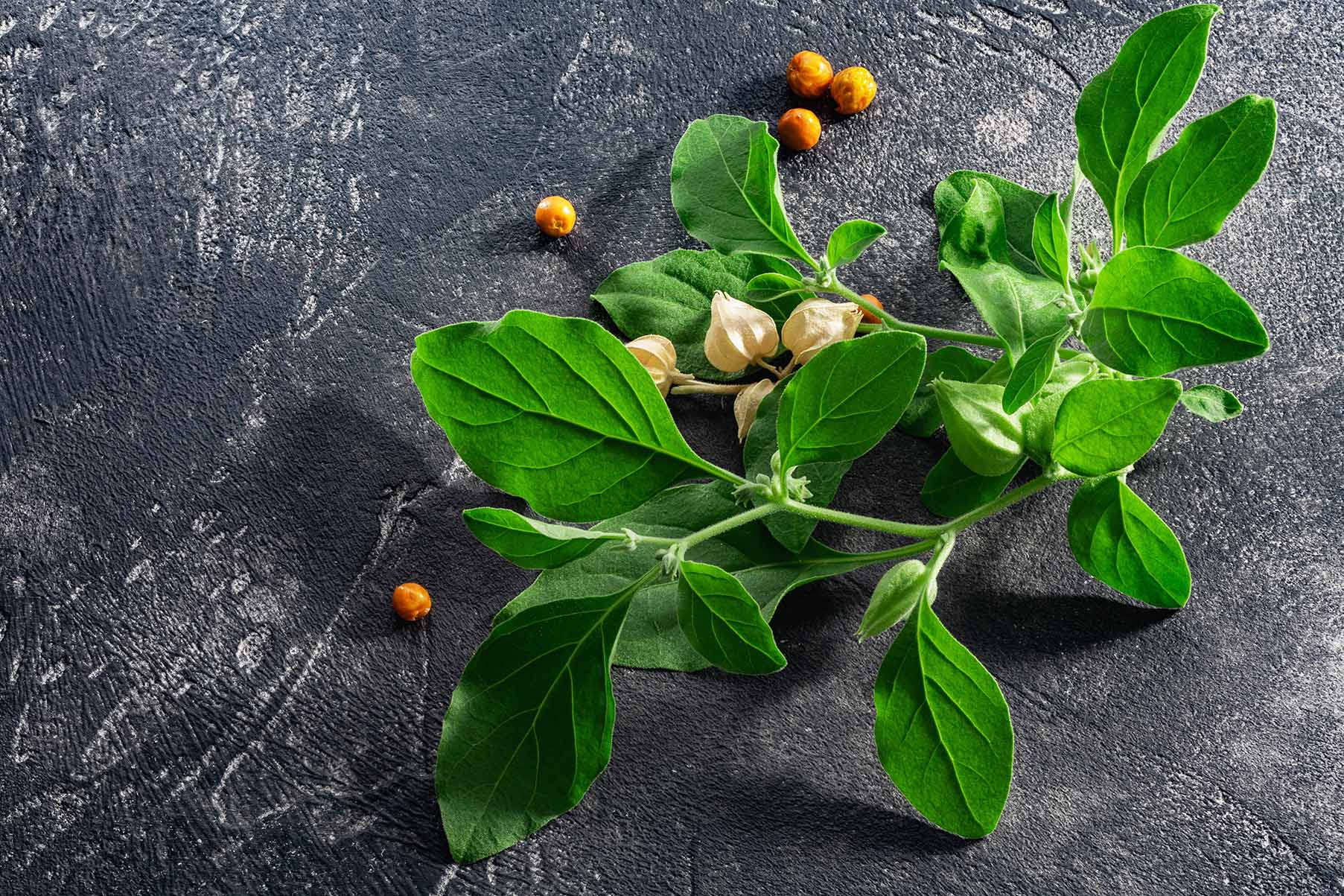 shutterstock_2250655493_62 Superfood Ashwagandha bio Kapseln