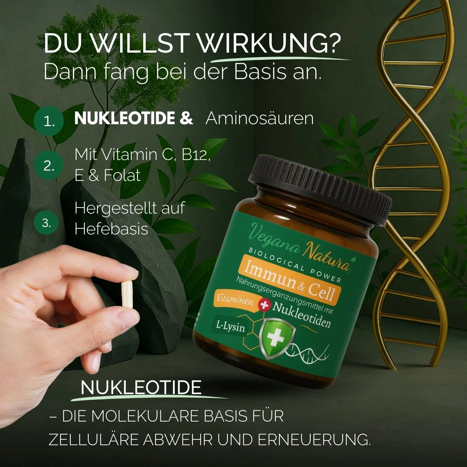 Immun & Cell (Nukleotide)