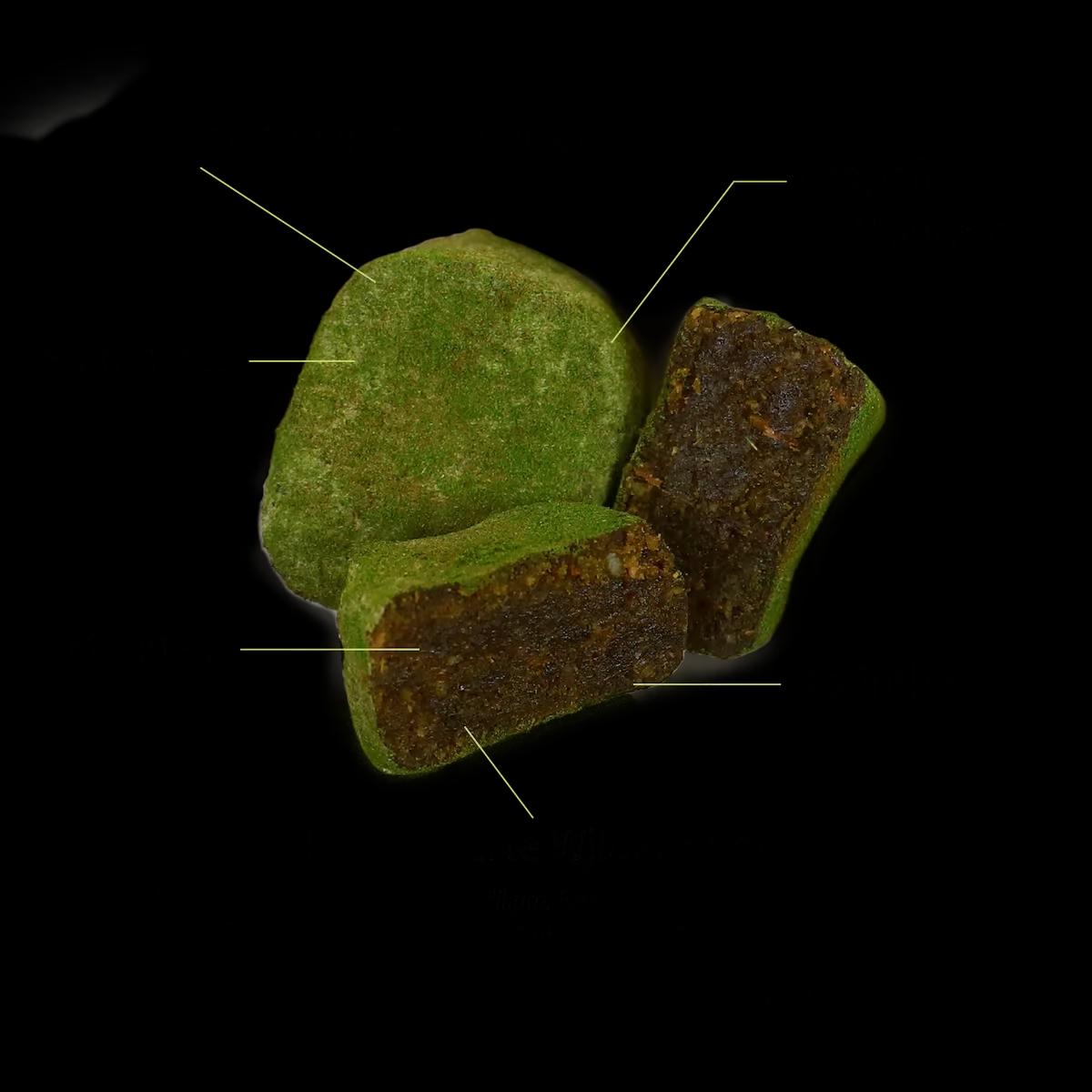 Wild Bites