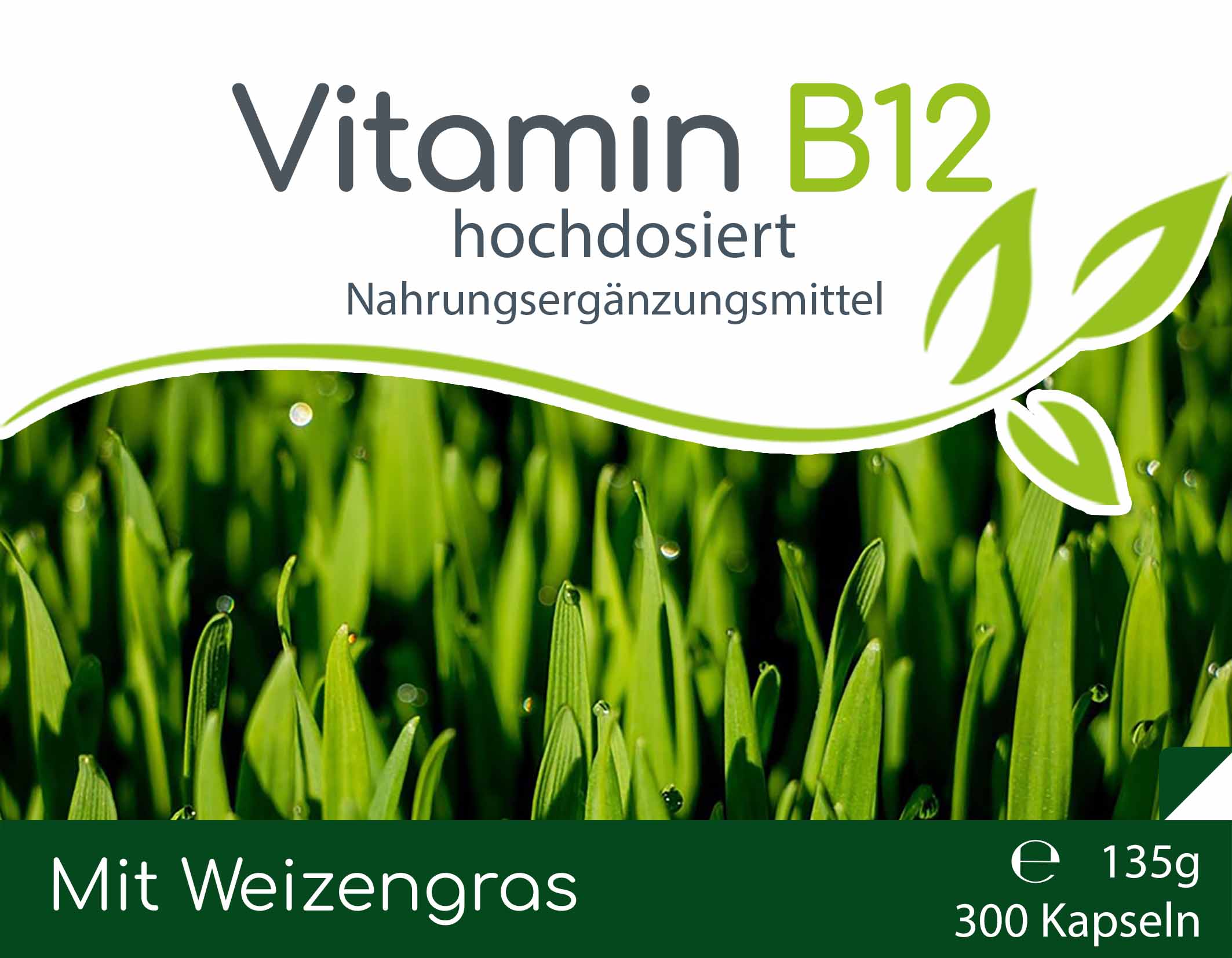 Vitamin B12 hochdosiert Kapseln 