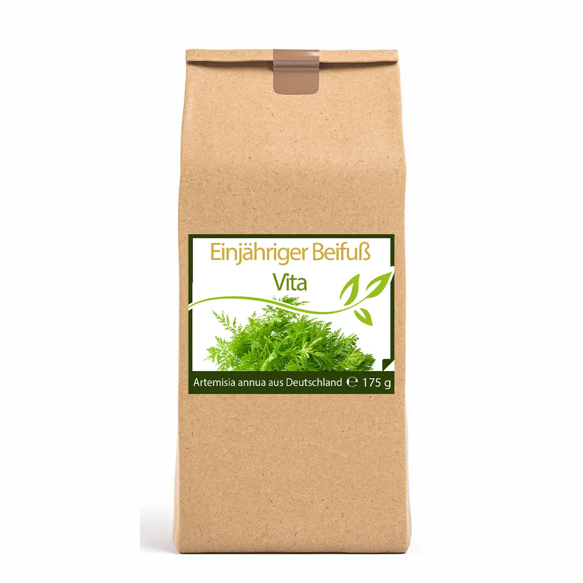 Artemisia Annua Einjähriger Beifuß 