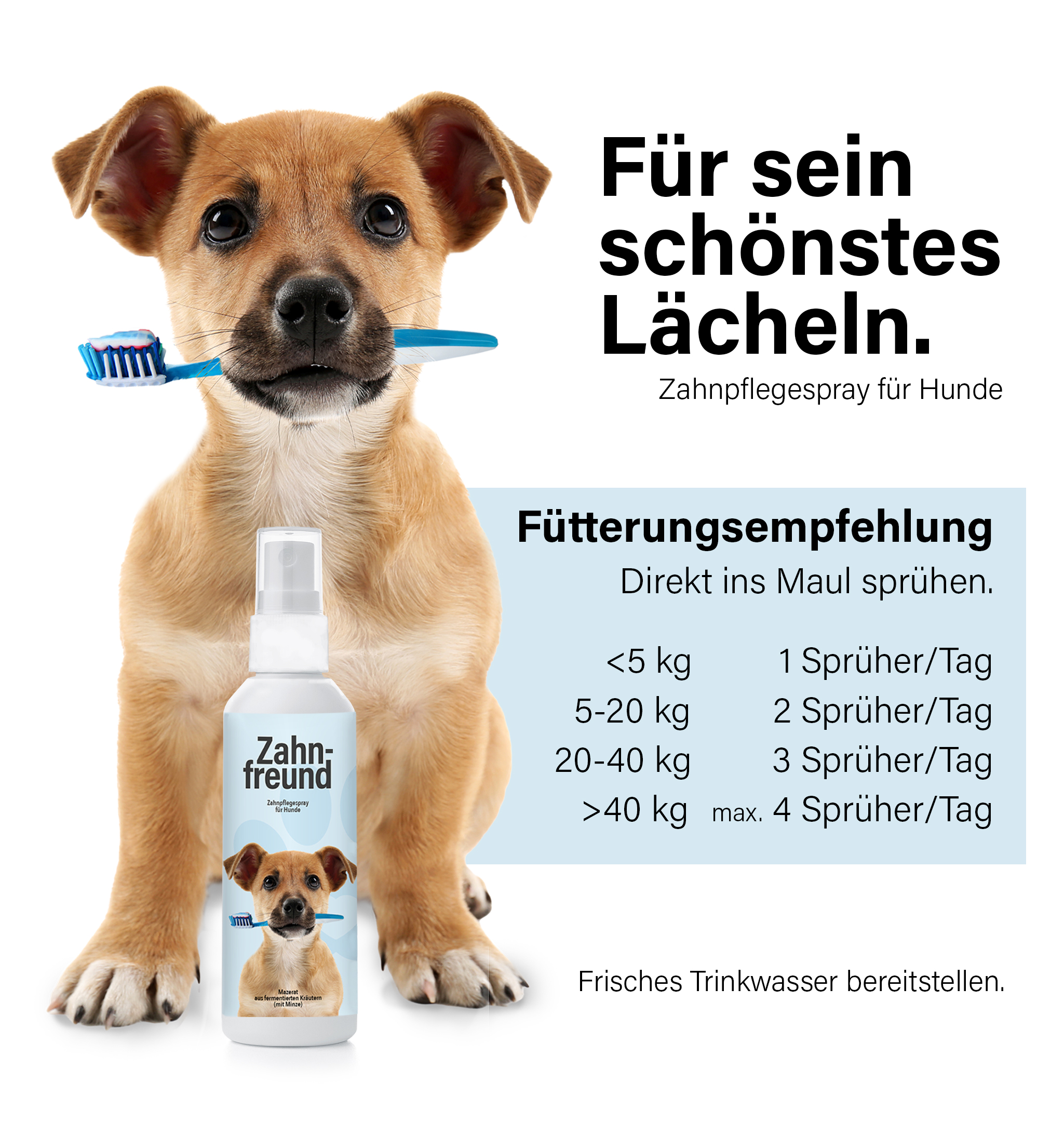 Zahnfreund-Spray