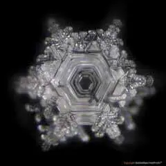 Hochenergie-TERRA-Platte  by DieStoffwechselProfis® mit 90.10.® Quanten-Technologie