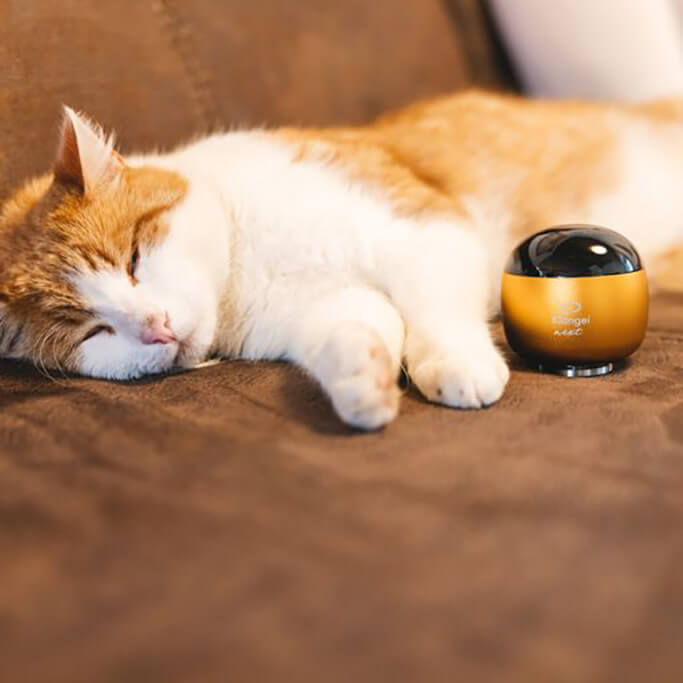 Klangei Next® Somnia