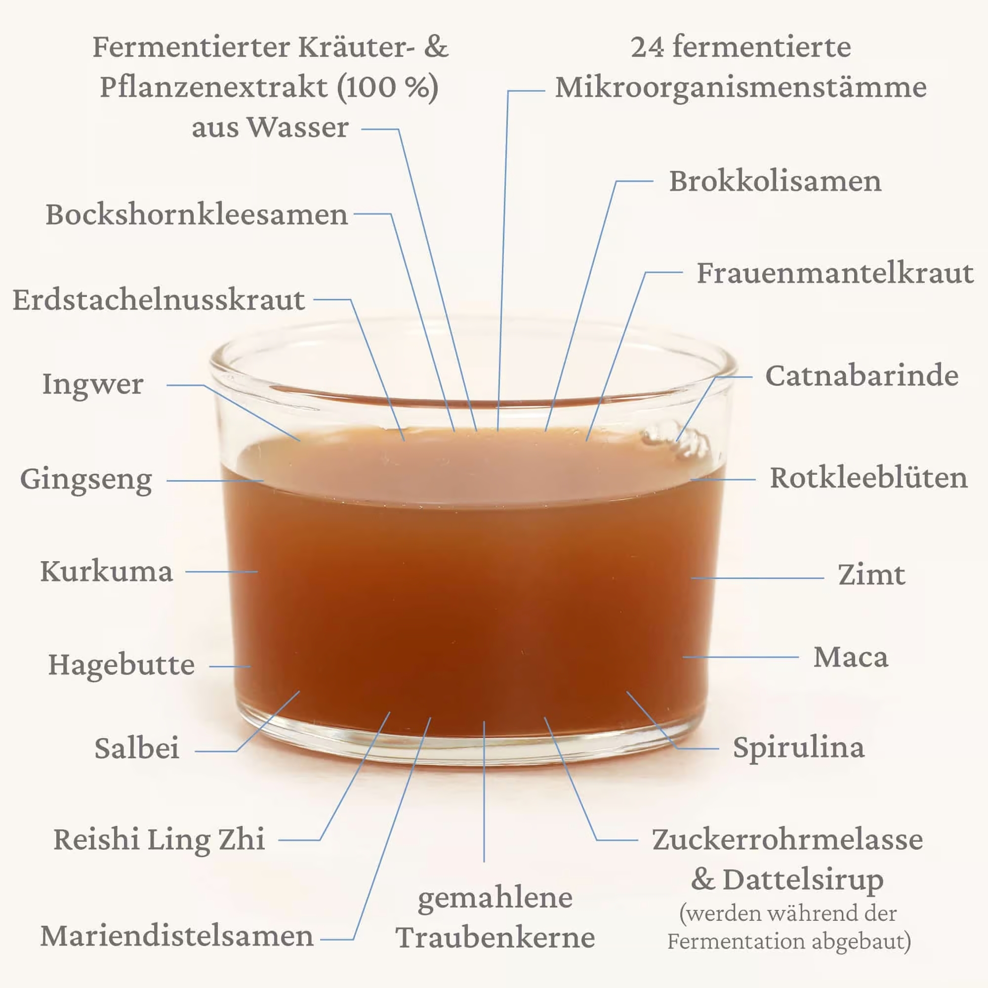 Kräuterferment Women Edition