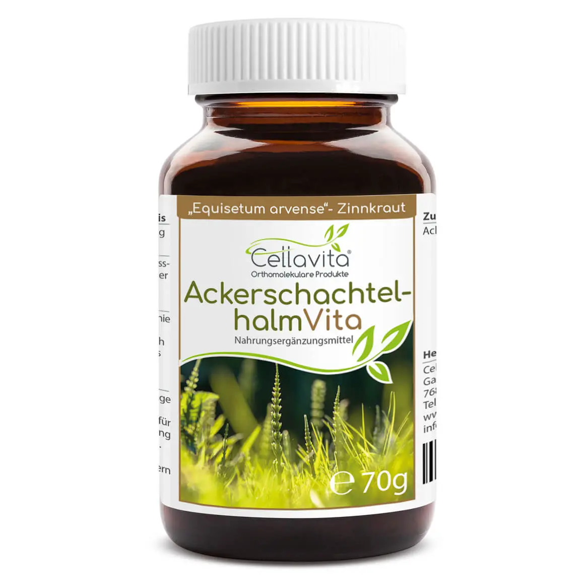Ackerschachtelhalm (Zinnkraut) Vita