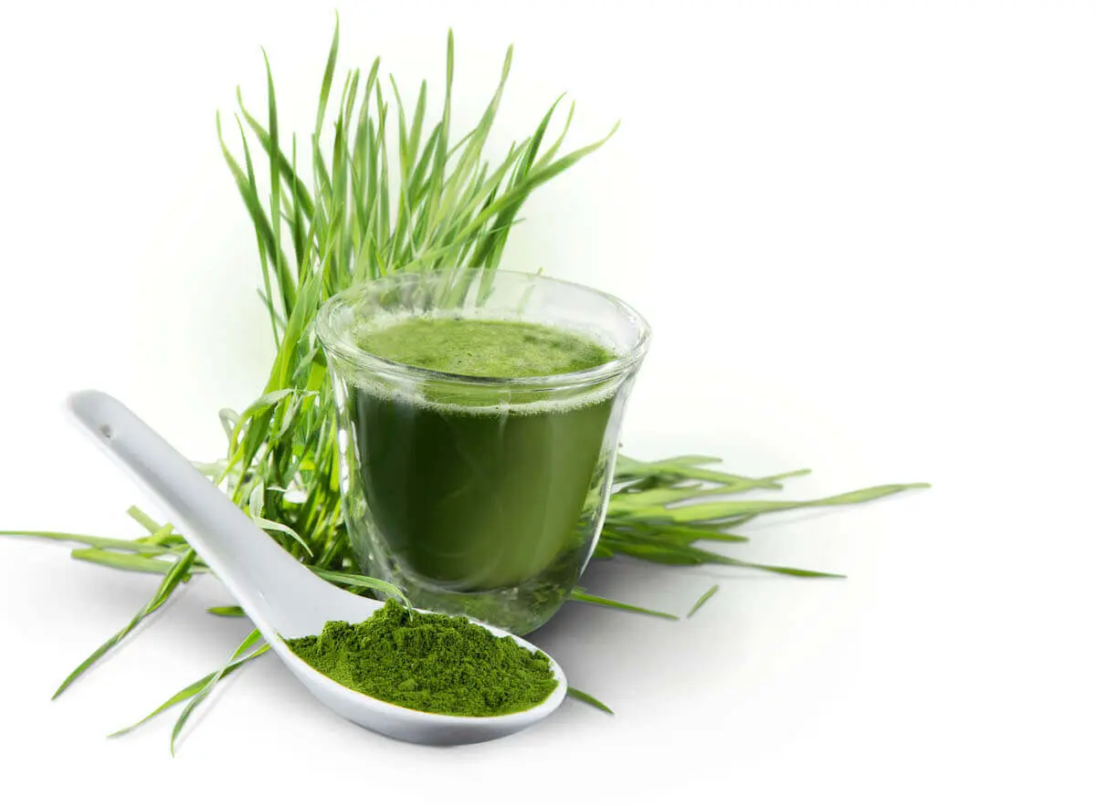 Vitamin B-Komplex Vita 