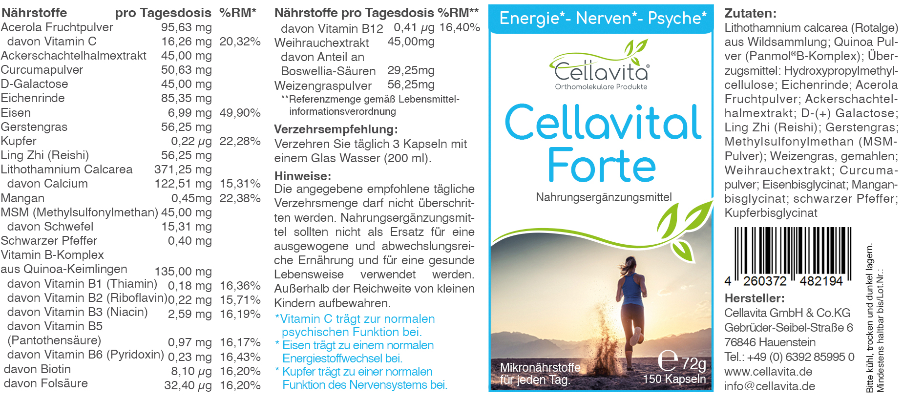 Vital Starter Kompass I