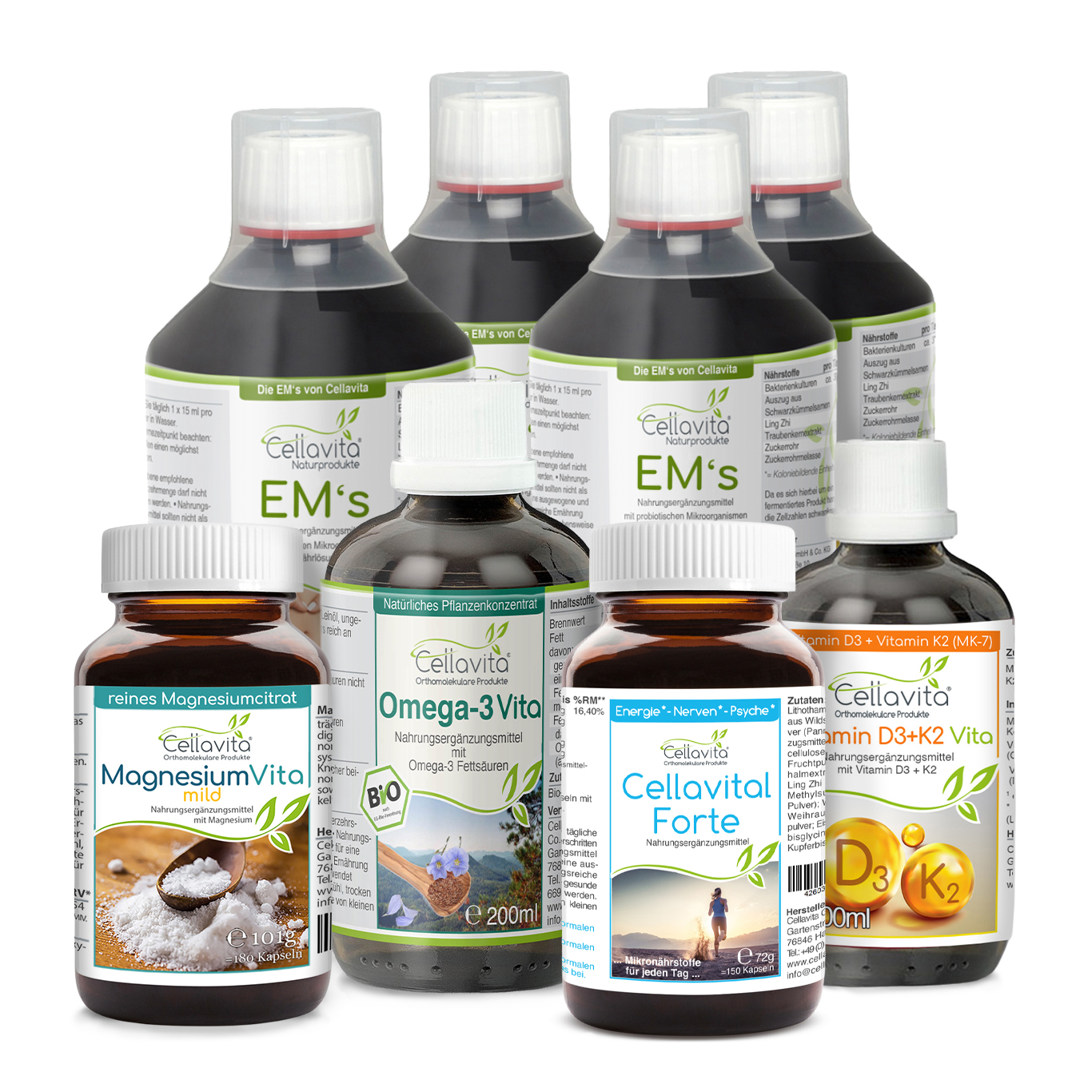Vital Starter Kompass II