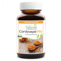 Bio Cordyceps Sinensis 150 Kapseln (75-Tages Vorrat) im Glas