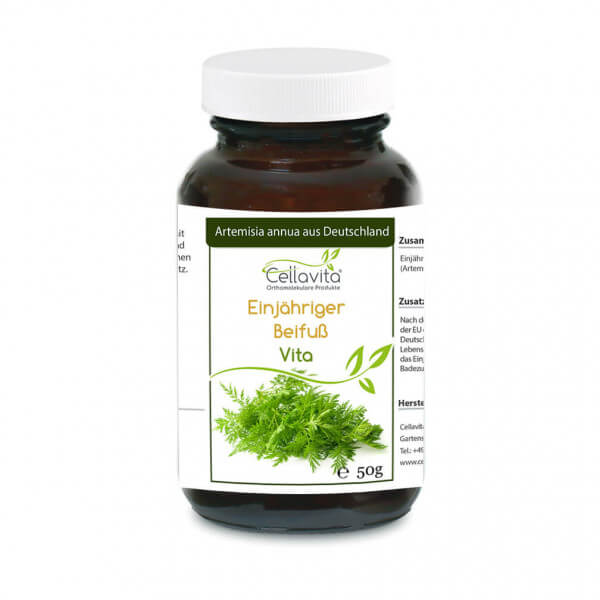 Artemisia Annua Einjähriger Beifuß 50g