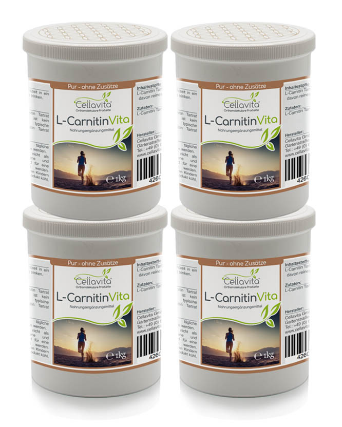 L-Carnitin Vita 4000g Pulver Vorteilspaket