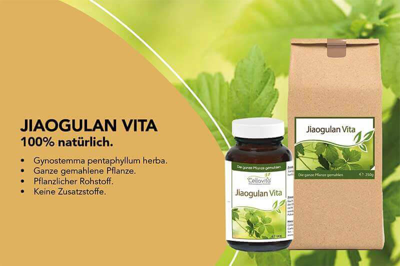 https://www.cellavita.de/gesundheit/koerperpflege/jiaogulan/