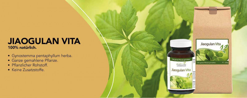 https://www.cellavita.de/gesundheit/koerperpflege/jiaogulan/