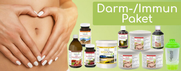 Darm-Immun PLUS Paket | Unterstützung für den Darm
