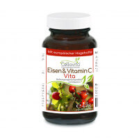 Eisen & Vitamin C Vita | 90 Kapseln im Glas