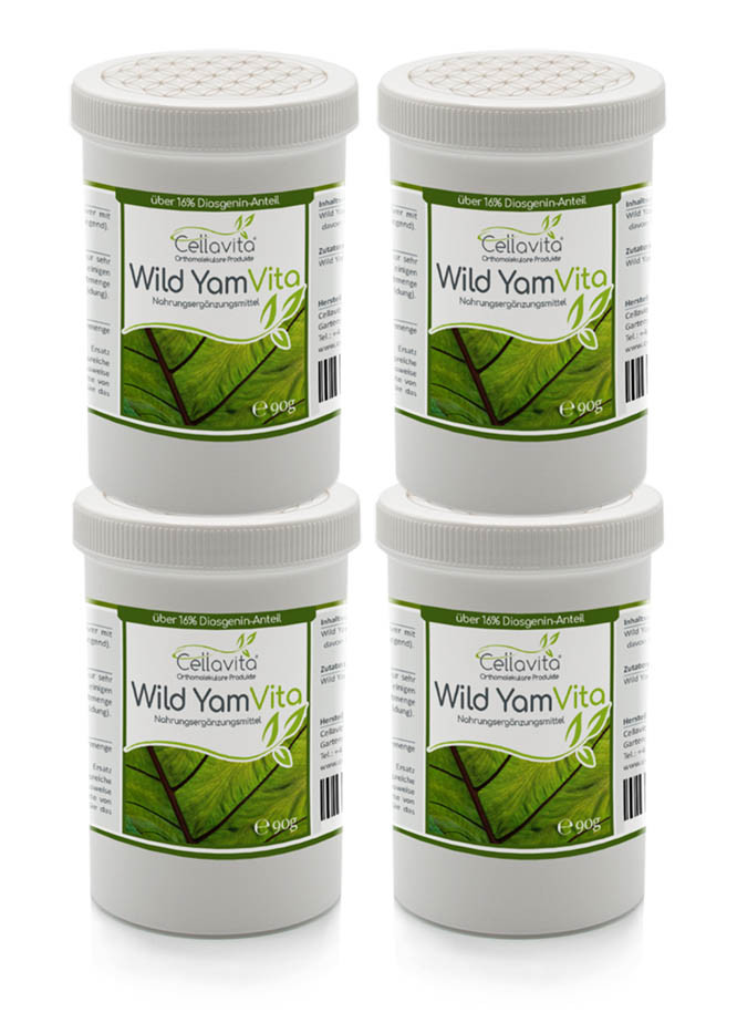Wild Yam Vita (Yamswurzel) 360g Pulver Vorteilspaket