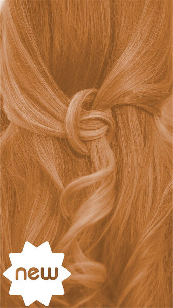 Pflanzenhaarfarbe Komplett SET "helles warmes Kupfer-Blond - warm tizian blond" Naturfriseur Profi,
