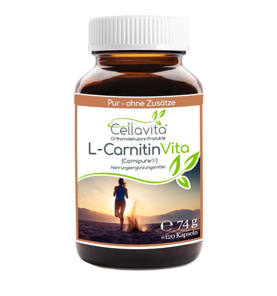 L-Carnitin Vita 120 Kapseln im Glas