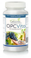 OPC Vita 60 Kapseln 2-Monatsvorrat | Traubenkern- und Pinienrinden-Extrakt