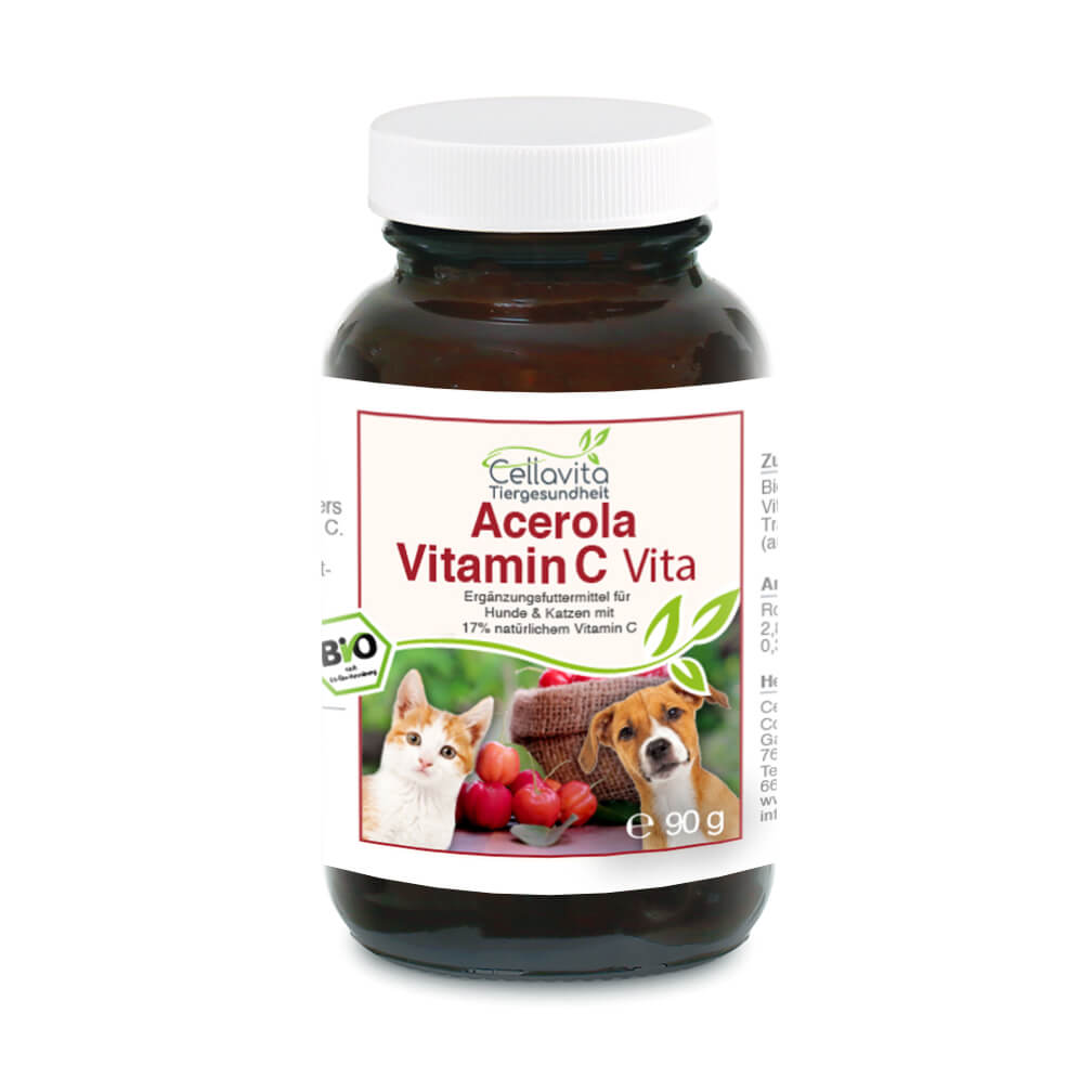 Katze Vitamin C