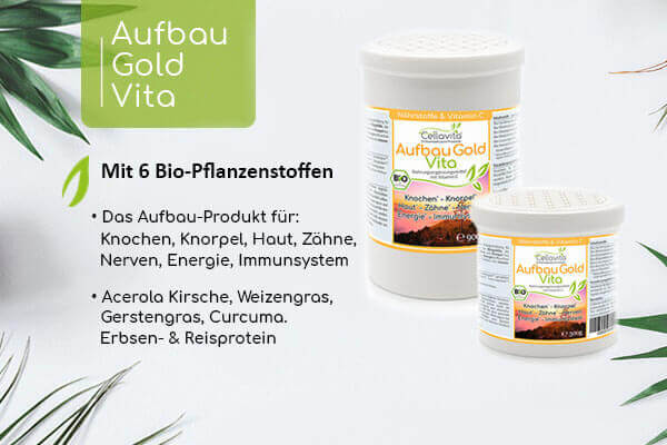 Cellavita Naturprodukte Die Gesundheit in die eigene Hand nehmen